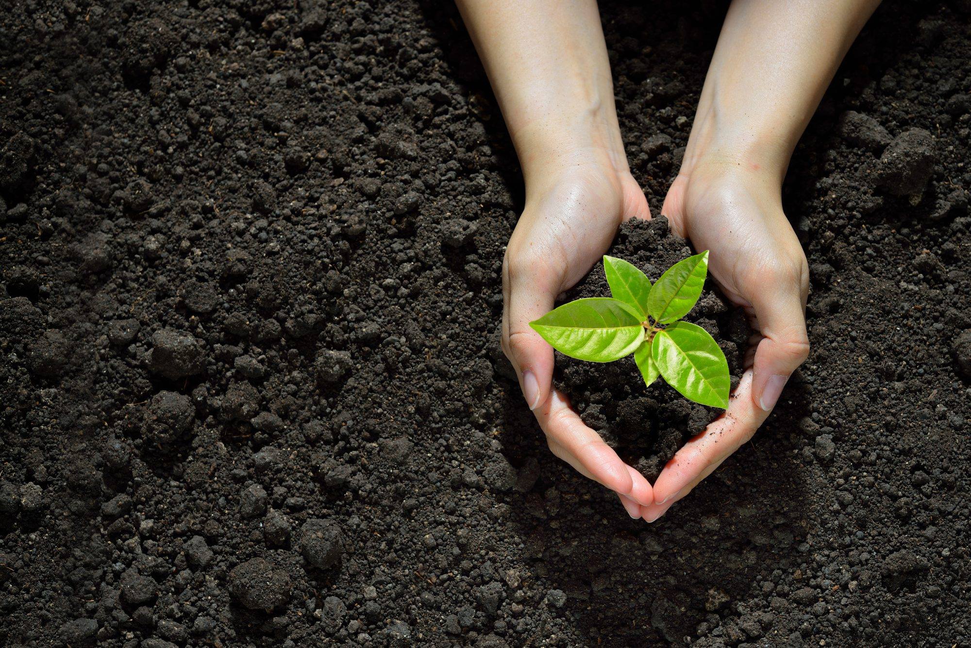 Forum delle Comunità Laudato si’