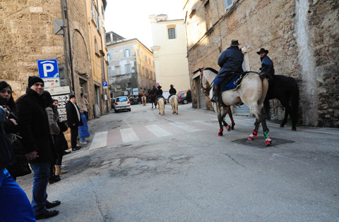 Cavalli Infiocchettati 2013