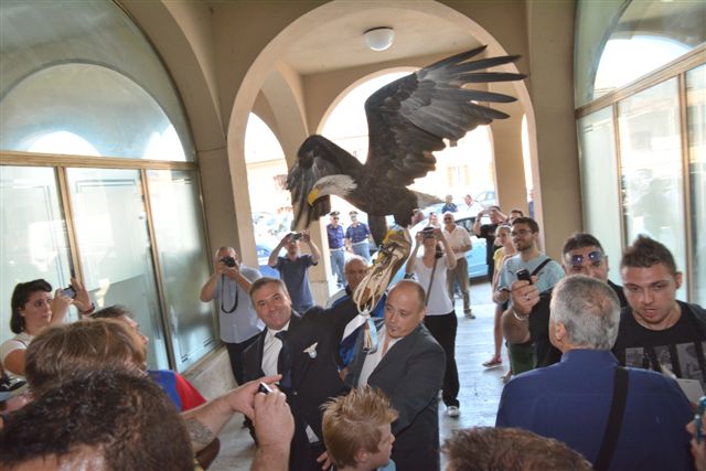 L'aquila Olimpia a Rieti. Foto di Massimo Renzi