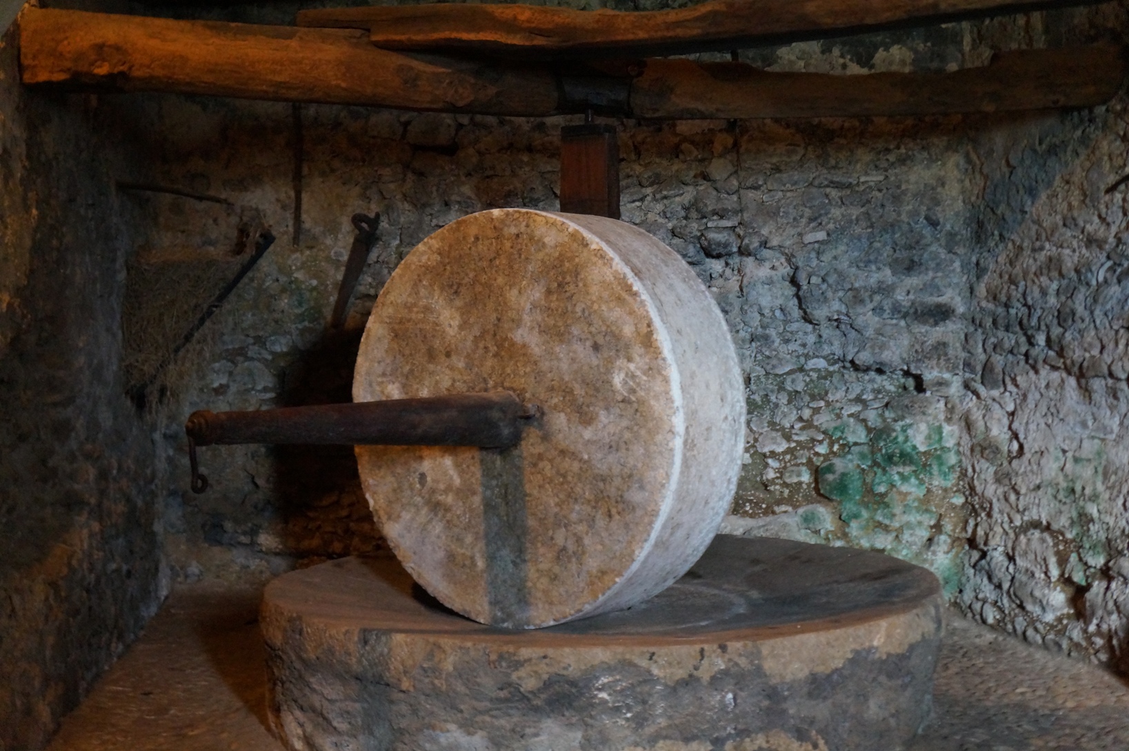 "Un filo d'olio": visita al museo di Castelnuovo di Farfa